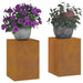 Suport pentru plante 2 pcs Ruginit 24 x 24 x 35 cm - WALTI WALTI
