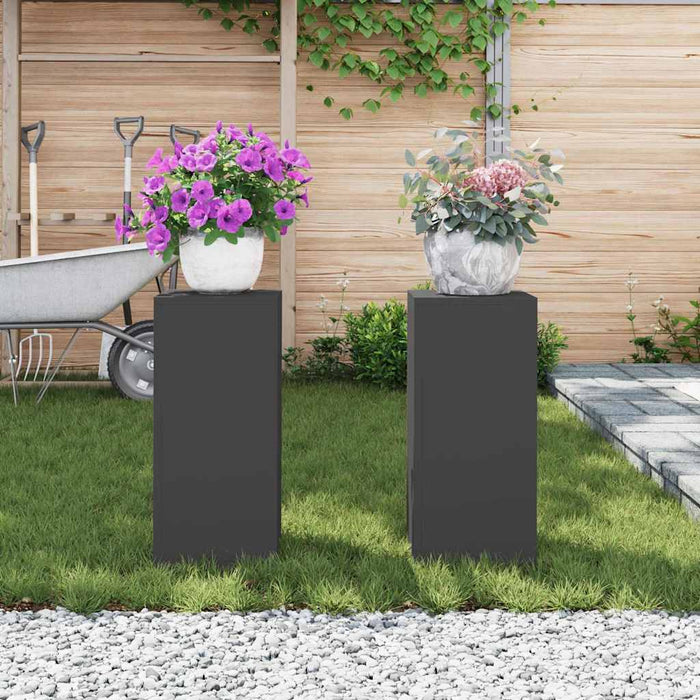 Suport pentru plante 2 pcs Negru 24 x 24 x 55 cm Oțel - WALTI WALTI
