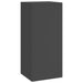 Suport pentru plante 2 pcs Negru 24 x 24 x 55 cm Oțel - WALTI WALTI