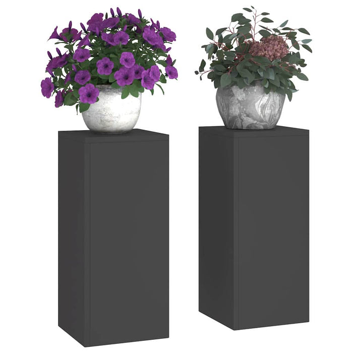 Suport pentru plante 2 pcs Negru 24 x 24 x 55 cm Oțel - WALTI WALTI
