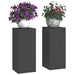 Suport pentru plante 2 pcs Negru 24 x 24 x 55 cm Oțel - WALTI WALTI