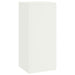 Suport pentru plante 2 pcs Alb 24 x 24 x 55 cm Oțel - WALTI WALTI