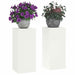 Suport pentru plante 2 pcs Alb 24 x 24 x 55 cm Oțel - WALTI WALTI