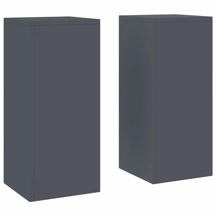 Suport pentru plante 2 pcs Antracit 24 x 24 x 55 cm Oțel - WALTI WALTI