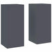 Suport pentru plante 2 pcs Antracit 24 x 24 x 55 cm Oțel - WALTI WALTI