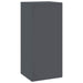 Suport pentru plante 2 pcs Antracit 24 x 24 x 55 cm Oțel - WALTI WALTI