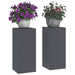 Suport pentru plante 2 pcs Antracit 24 x 24 x 55 cm Oțel - WALTI WALTI