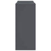 Suport pentru plante 2 pcs Antracit 24 x 24 x 55 cm Oțel - WALTI WALTI