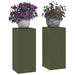 Suport pentru plante 2 pcs Olivengrønn 24 x 24 x 55 cm Oțel - WALTI WALTI