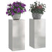 Suport pentru plante 2 pcs Argintiu 24 x 24 x 55 cm - WALTI WALTI