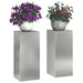 Suport pentru plante 2 pcs Argintiu 24 x 24 x 55 cm - WALTI WALTI