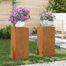 Suport pentru plante 2 pcs Ruginit 24 x 24 x 55 cm - WALTI WALTI