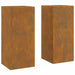 Suport pentru plante 2 pcs Ruginit 24 x 24 x 55 cm - WALTI WALTI