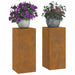 Suport pentru plante 2 pcs Ruginit 24 x 24 x 55 cm - WALTI WALTI