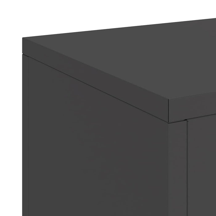 Suport pentru plante 2 pcs Negru 24 x 24 x 75 cm Oțel - WALTI WALTI