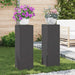 Suport pentru plante 2 pcs Negru 24 x 24 x 75 cm Oțel - WALTI WALTI