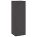Suport pentru plante 2 pcs Negru 24 x 24 x 75 cm Oțel - WALTI WALTI