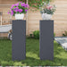 Suport pentru plante 2 pcs Antracit 24 x 24 x 75 cm Oțel - WALTI WALTI