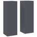 Suport pentru plante 2 pcs Antracit 24 x 24 x 75 cm Oțel - WALTI WALTI