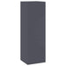 Suport pentru plante 2 pcs Antracit 24 x 24 x 75 cm Oțel - WALTI WALTI