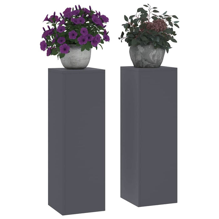 Suport pentru plante 2 pcs Antracit 24 x 24 x 75 cm Oțel - WALTI WALTI