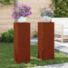 Suport pentru plante 2 buc. Ruginit 24 x 24 x 75 cm - WALTI WALTI