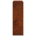 Suport pentru plante 2 buc. Ruginit 24 x 24 x 75 cm - WALTI WALTI