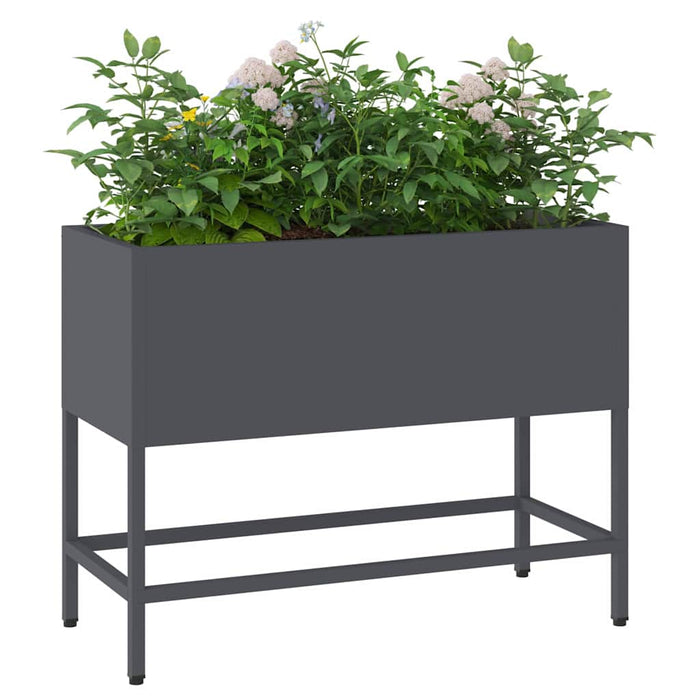 Ghiveci ridicat pentru grădină Antracit 60 x 26 x 45 cm Oțel - WALTI WALTI