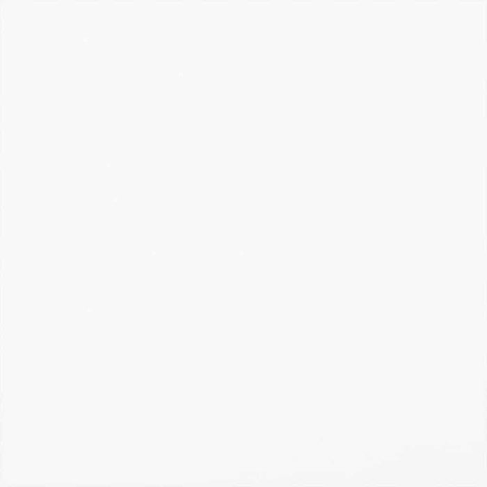 Ecran de intimitate pentru balcon Alb 140 x 140 cm Poliester - WALTI WALTI