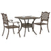 Set masă de grădină 3 pcs Bronz Aluminiu turnat - WALTI WALTI