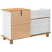 Bancă cu spațiu de depozitare ASKIM Alb 100 x 39 x 62 cm - WALTI WALTI
