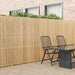 Gard din bambus natural 400 x 180 cm Bambus - WALTI WALTI