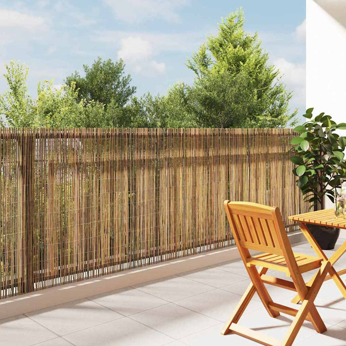 Gard din bambus natural 400 x 125 cm Bambus - WALTI WALTI