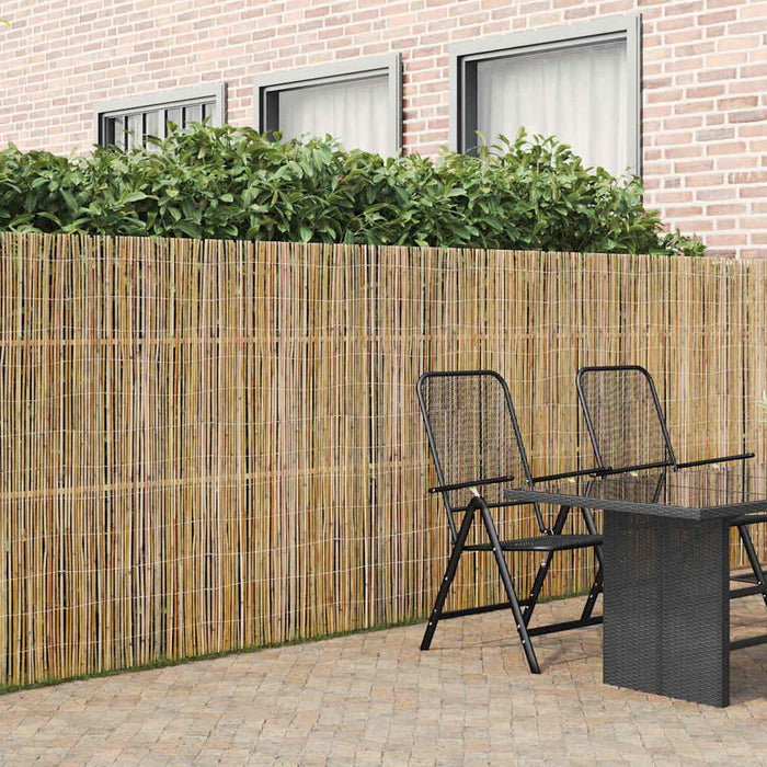 Gard din bambus natural 400 x 150 cm Bambus - WALTI WALTI