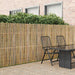Gard din bambus natural 400 x 150 cm Bambus - WALTI WALTI