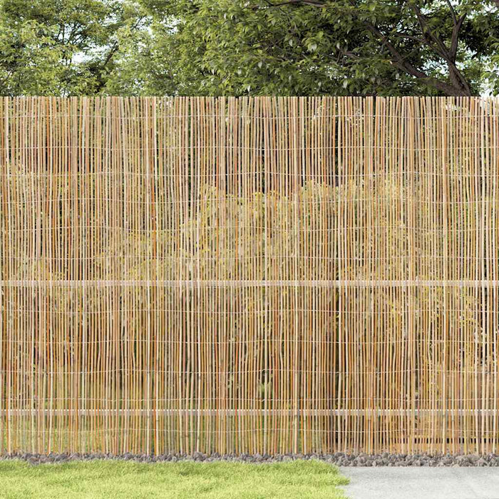 Gard din bambus natural 400 x 150 cm Bambus - WALTI WALTI