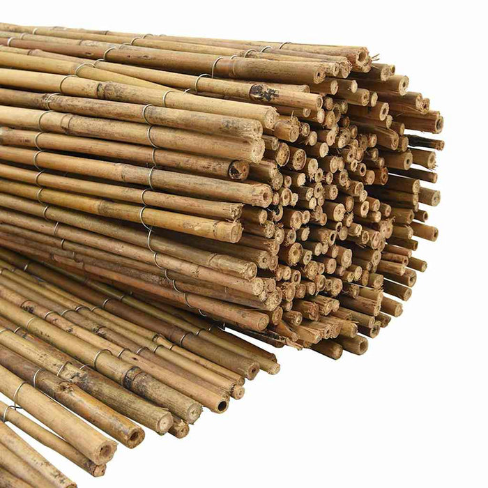 Gard din bambus natural 400 x 180 cm Bambus - WALTI WALTI