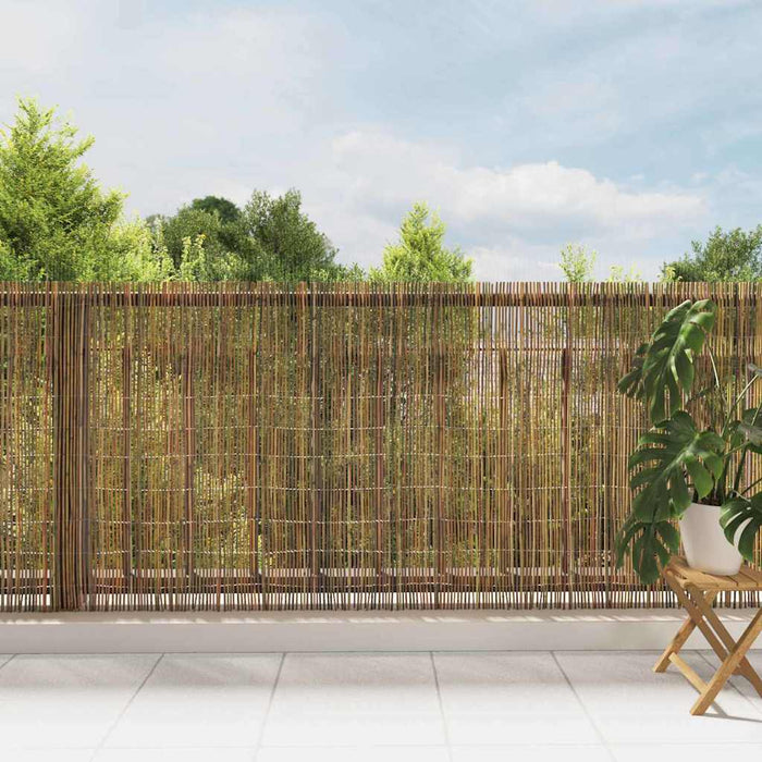 Gard din bambus natural 600 x 125 cm Bambus - WALTI WALTI