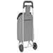 Carucior de cumpărături Gri 35 x 28 x 92 cm Tafeta Oxford - WALTI WALTI