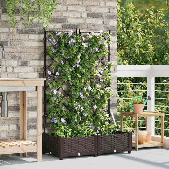 Vază pentru Grădină 2 buc. Maro 80 x 40 x 125,5 cm PP WALTI