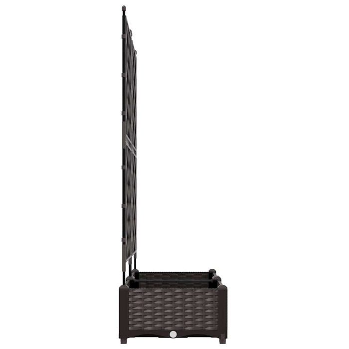 Vază pentru Grădină 2 buc. Maro 80 x 40 x 125,5 cm PP WALTI