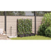 Vază pentru Grădină 3 pcs Maro 120 x 40 x 125,5 cm Plastic - WALTI WALTI