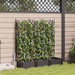Vază pentru Grădină 3 pcs Maro 120 x 40 x 125,5 cm Plastic - WALTI WALTI