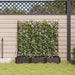 Vază pentru Grădină 3 pcs Maro 120 x 40 x 125,5 cm Plastic - WALTI WALTI