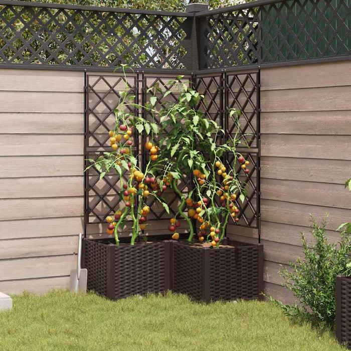Vază pentru Grădină 3 buc. Maro 80 x 80 x 143 cm PP WALTI