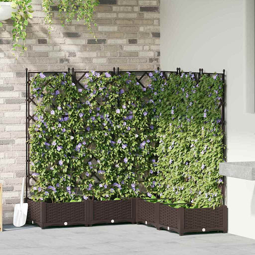 Ghiveci de grădină cu trellis 5 pcs Maro 120 x 120 x 125.5 cm - WALTI WALTI