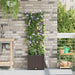 Vază pentru Grădină Maro 40 x 40 x 142 cm Plastic - WALTI WALTI