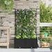 Vază pentru Grădină 2 pcs Negru 80 x 40 x 143 cm Plastic - WALTI WALTI