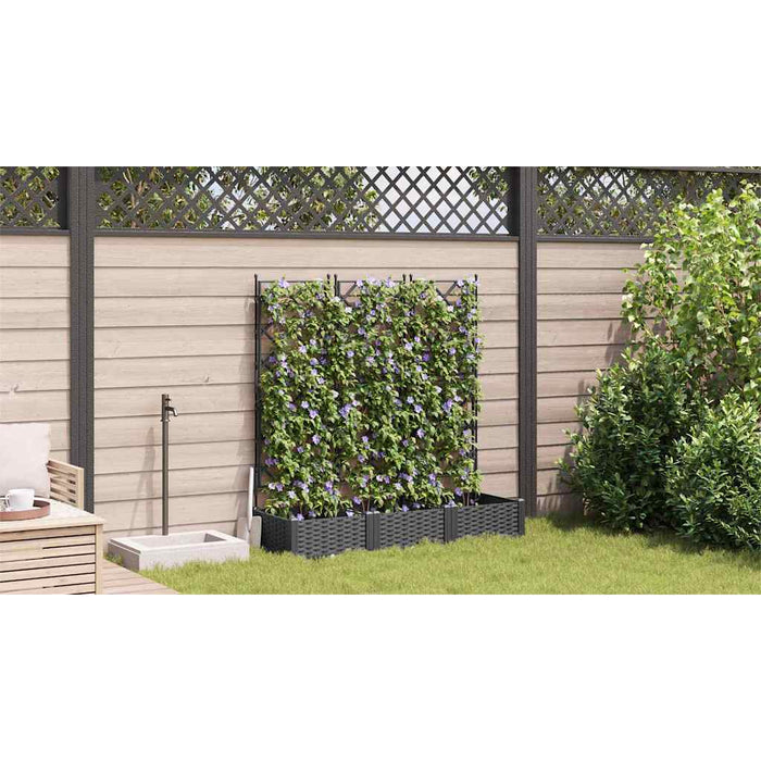 Vază pentru Grădină 3 pcs Negru 120 x 40 x 125,5 cm Plastic - WALTI WALTI