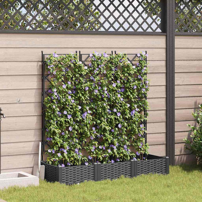 Vază pentru Grădină 3 pcs Negru 120 x 40 x 125,5 cm Plastic - WALTI WALTI